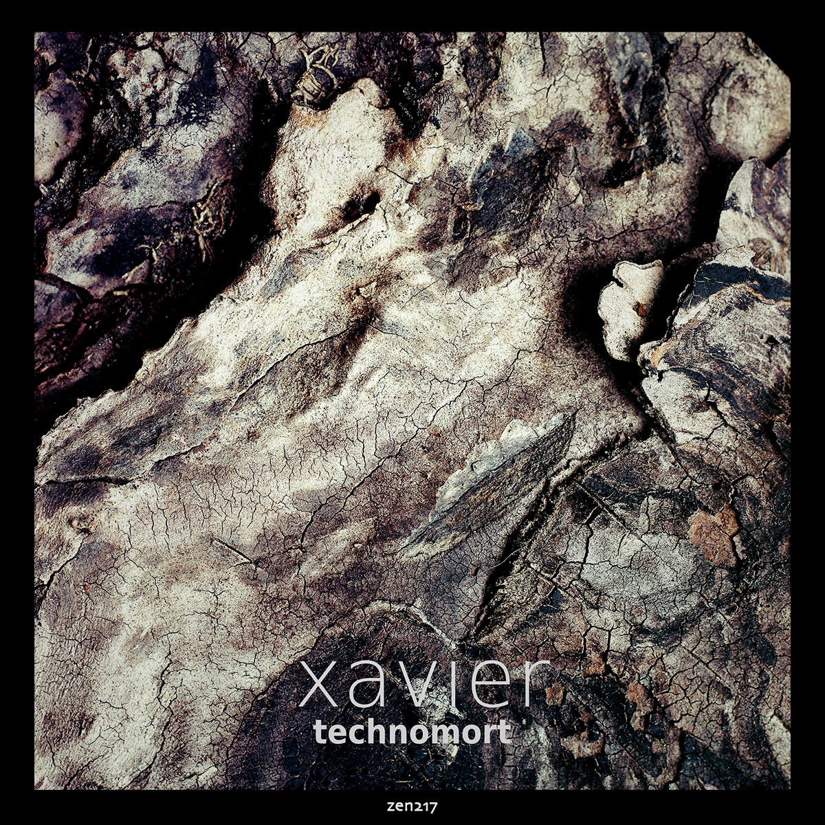 Xavier – Technomort